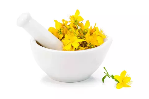 Mörser mit Johanniskraut gefüllt