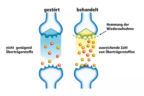 Grafik Synapsen